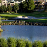 Remuera GC