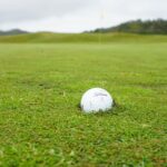 plugged ball