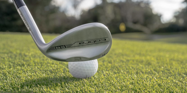 Cobra Wedge