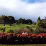 Hauraki Golf Club NZ Golf Business