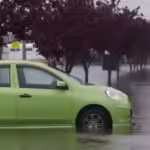 Dunedin flooded car NZ Golf Business