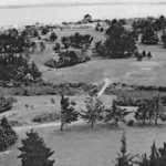 Whangaparoa Golf NZ Golf Business