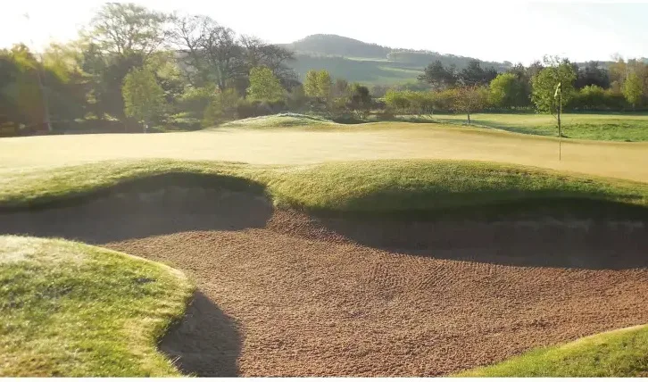 Fifye Golf Club NZ Golf Business copy