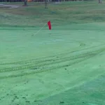 Cape Cod Golf NZ Golf Business