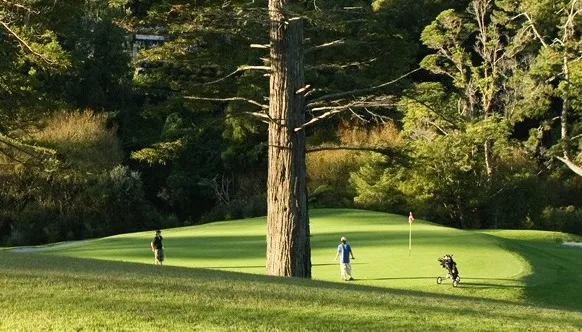 Redwood Park Golf NZ Golf Business