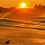 Waimairi Beach Golf Club NZ Golf Business