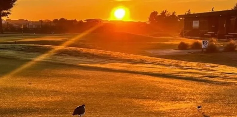 Waimairi Beach Golf Club NZ Golf Business