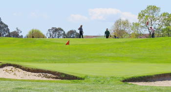 Te Awamutu Golf Club