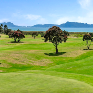 Waipu Golf Club 