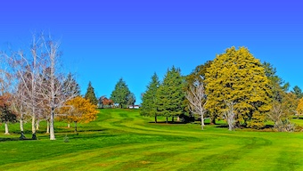 Walton Golf Course NZ Golf Business