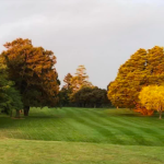 Morrinsville Golf Club