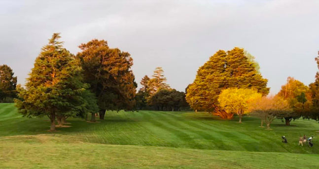 Morrinsville Golf Club